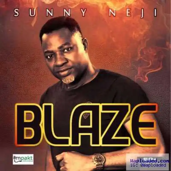 Sunny Neji - Cinema
